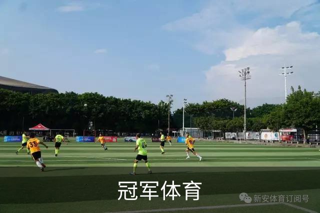 冠军体育公司简介图片